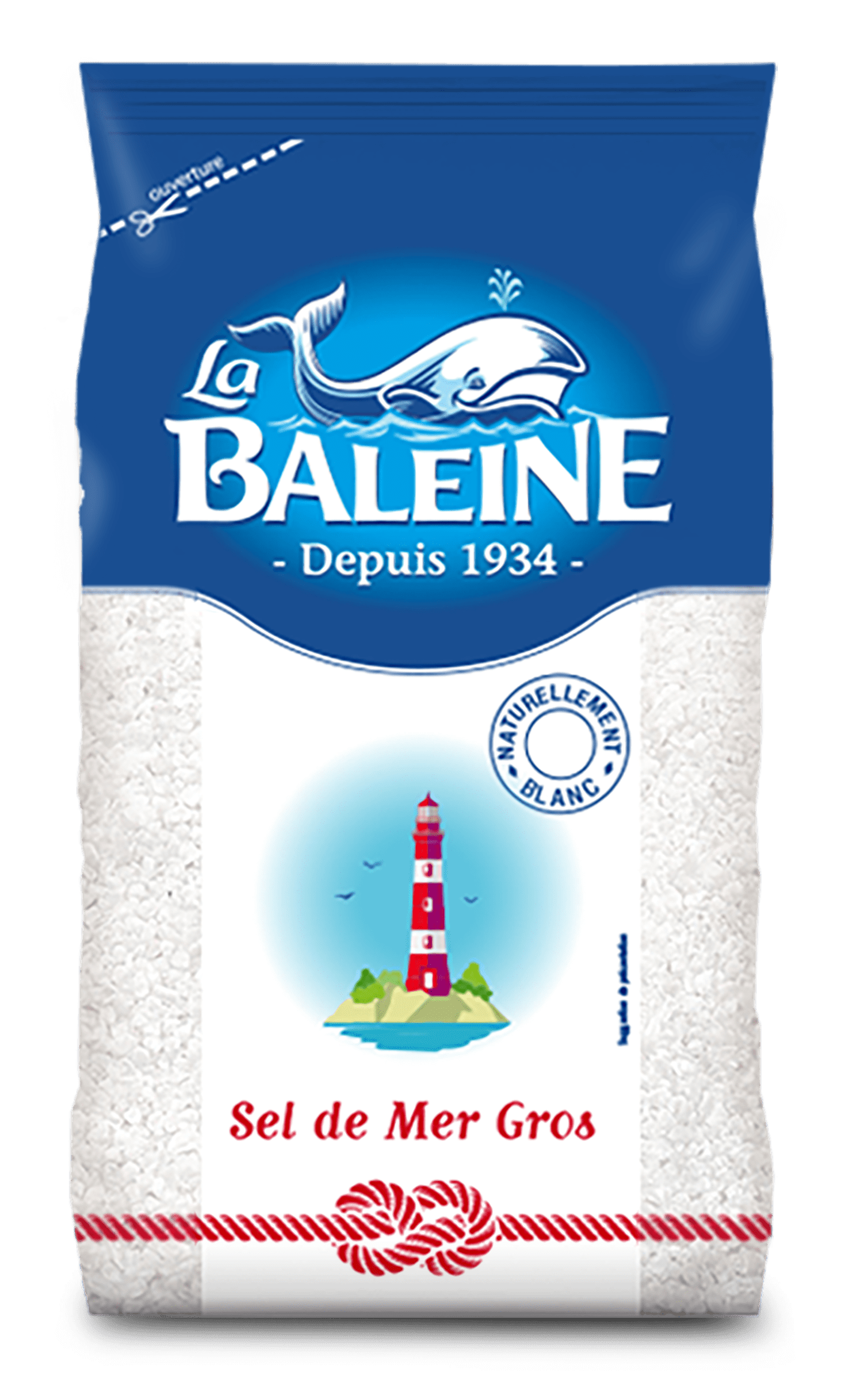 SACHET POLY 800g